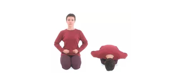 Yoga Yoga-Körper-Siegel-Pose